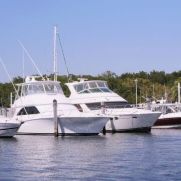 boats in a marina